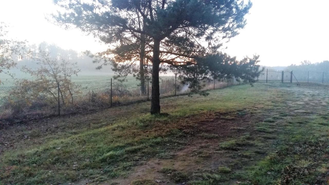 Willa Kraniec Swiata - Tylko Dla Ciebie - Zachwyca Krajobrazem, Regeneruje Cisza I Komfortem Болеславец Экстерьер фото